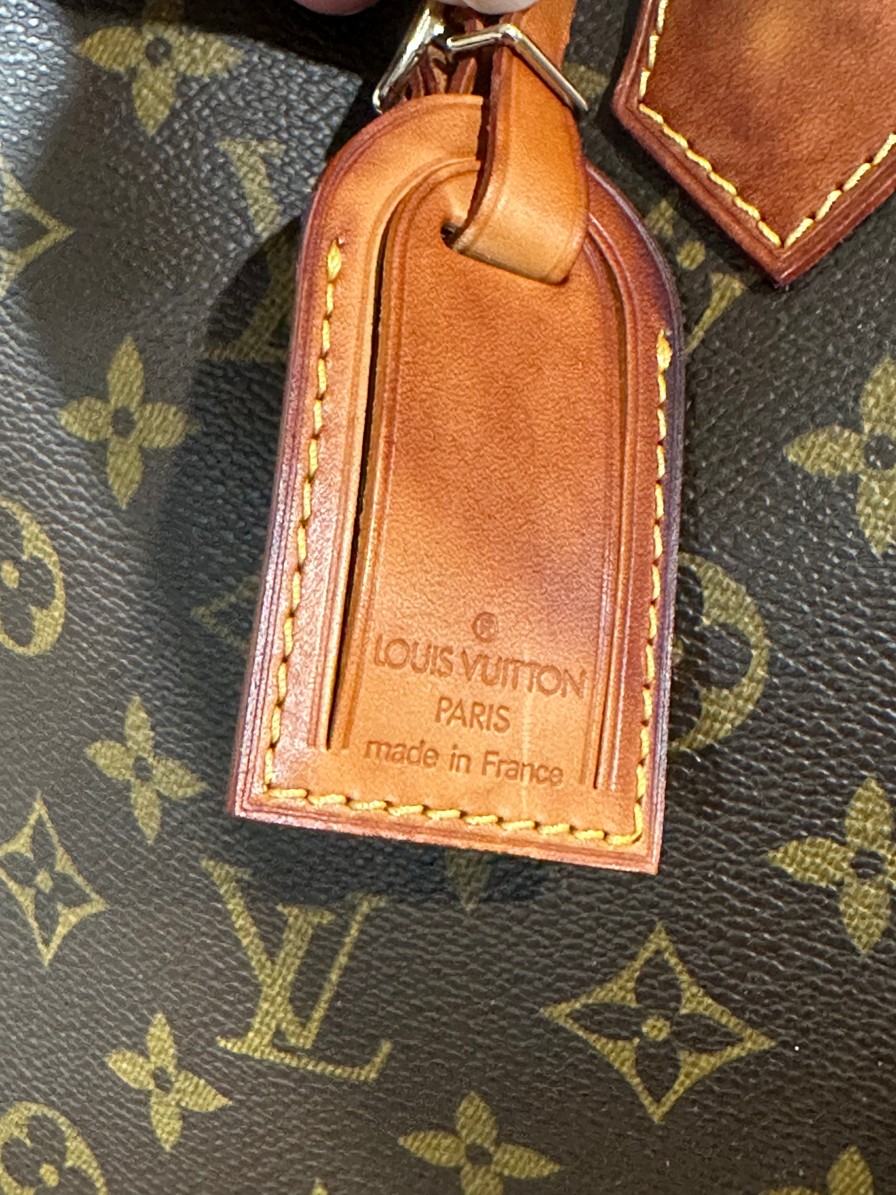 Authenticated | Vintage Louis Vuitton | Monogram Alma Voyage GM